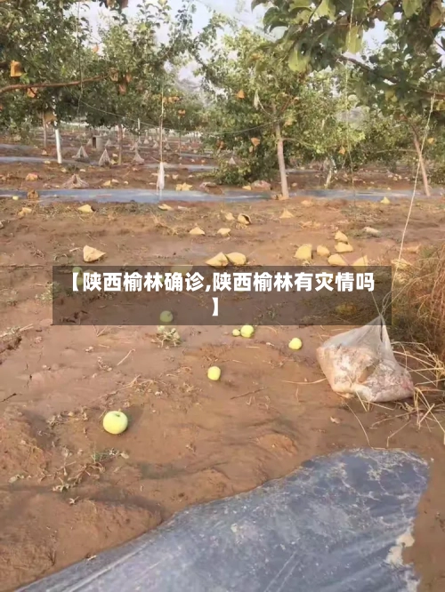 【陕西榆林确诊,陕西榆林有灾情吗】-第3张图片
