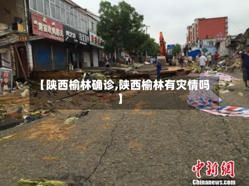 【陕西榆林确诊,陕西榆林有灾情吗】-第2张图片