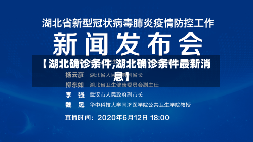 【湖北确诊条件,湖北确诊条件最新消息】