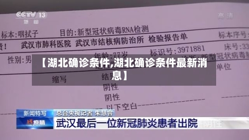 【湖北确诊条件,湖北确诊条件最新消息】-第2张图片