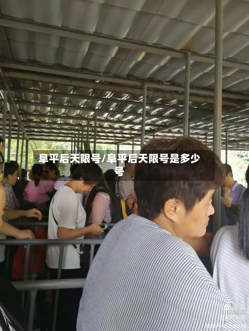 阜平后天限号/阜平后天限号是多少号-第2张图片