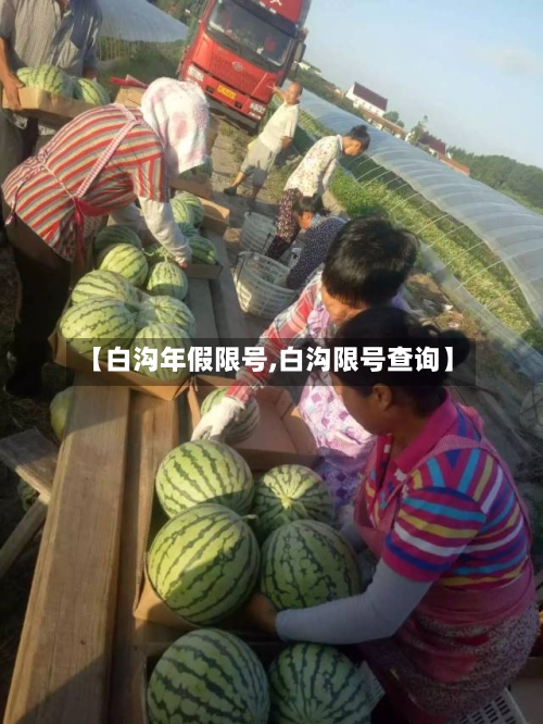 【白沟年假限号,白沟限号查询】
