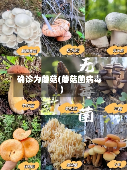 确诊为蘑菇(蘑菇菌病毒)-第3张图片