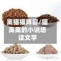 离猫猫阵容/猫离离的小说塔读文学
