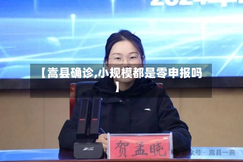 【嵩县确诊,小规模都是零申报吗】