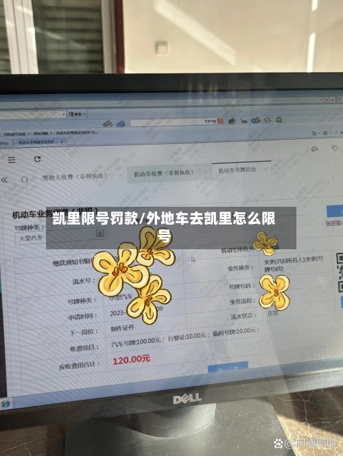 凯里限号罚款/外地车去凯里怎么限号