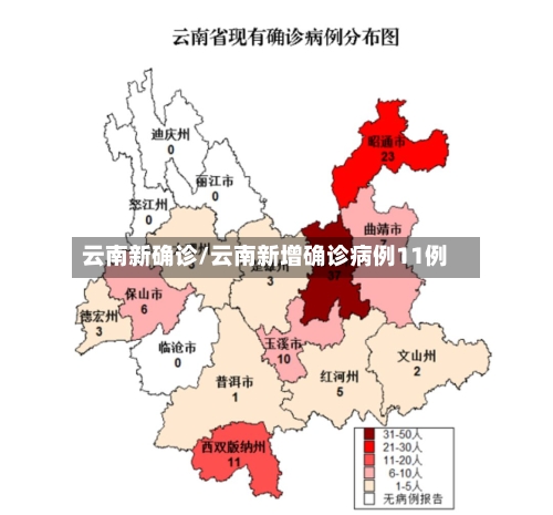 云南新确诊/云南新增确诊病例11例