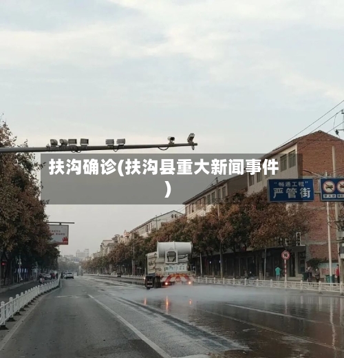 扶沟确诊(扶沟县重大新闻事件)-第2张图片