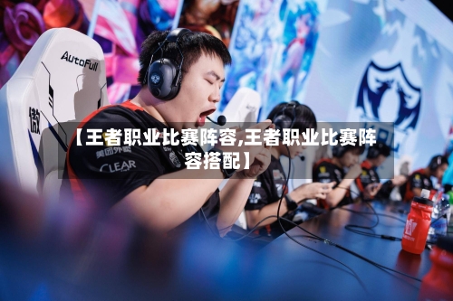 【王者职业比赛阵容,王者职业比赛阵容搭配】