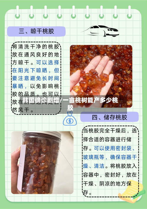 韩国确诊剧增/一亩桃树能产多少桃胶