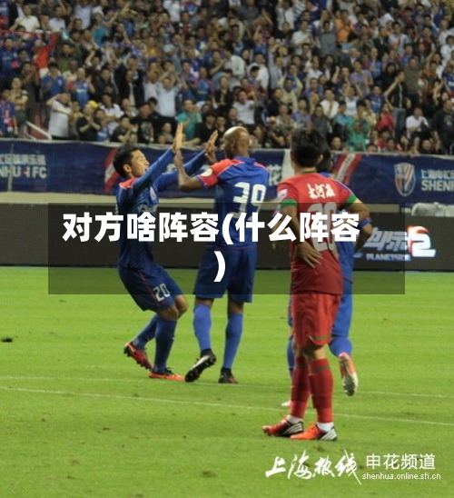 对方啥阵容(什么阵容)