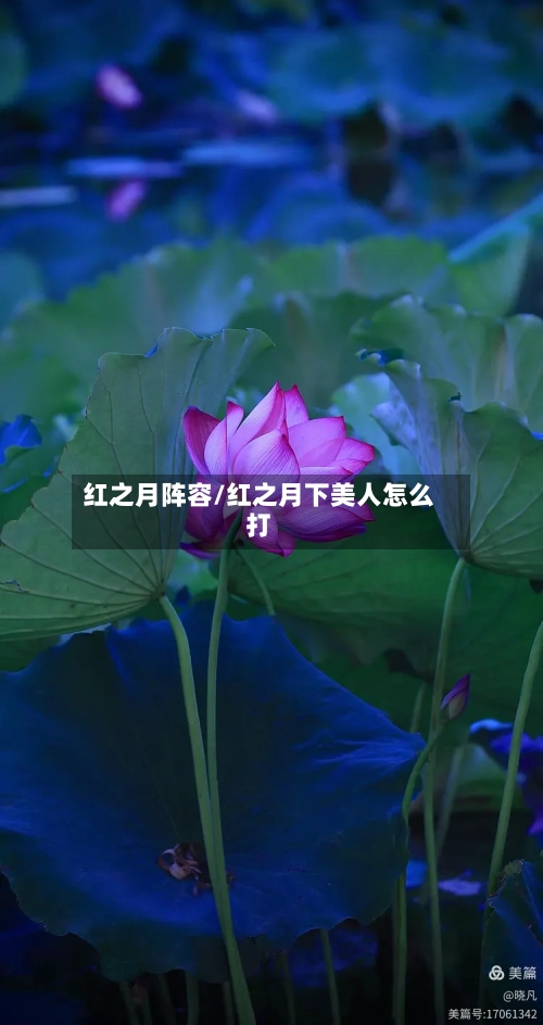红之月阵容/红之月下美人怎么打-第2张图片
