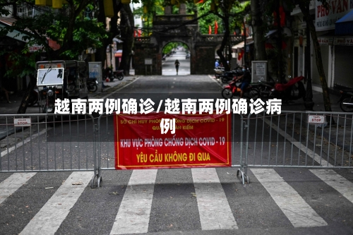越南两例确诊/越南两例确诊病例