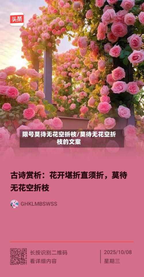 限号莫待无花空折枝/莫待无花空折枝的文案-第3张图片