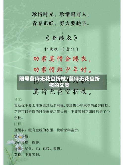 限号莫待无花空折枝/莫待无花空折枝的文案-第2张图片