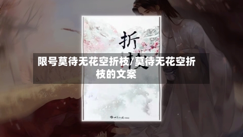 限号莫待无花空折枝/莫待无花空折枝的文案