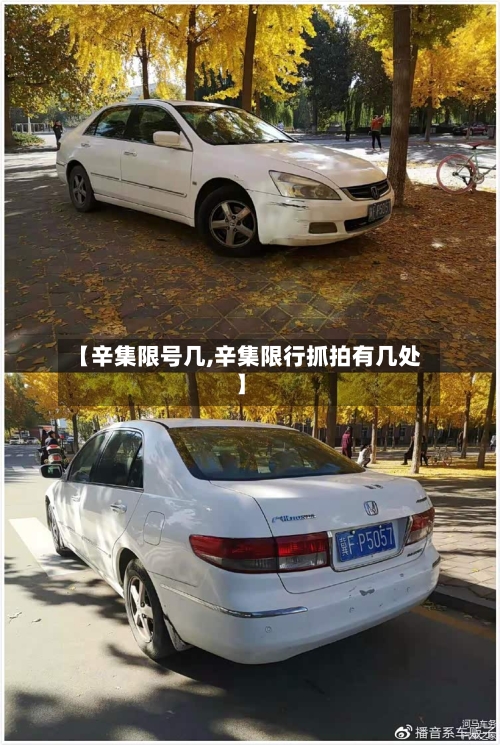 【辛集限号几,辛集限行抓拍有几处】