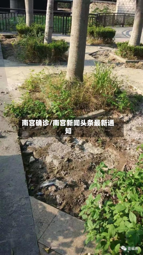 南宫确诊/南宫新闻头条最新通知-第2张图片