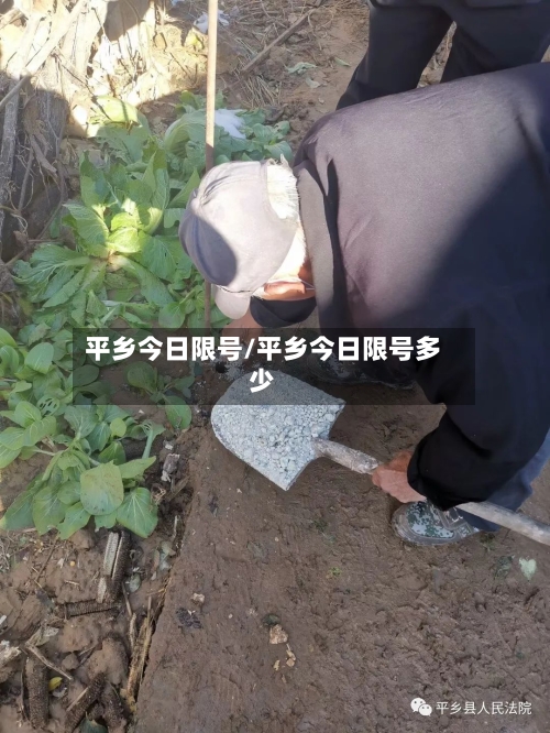 平乡今日限号/平乡今日限号多少