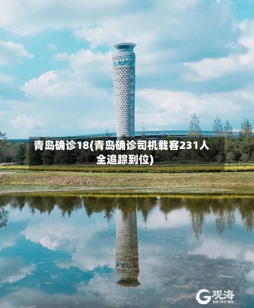 青岛确诊18(青岛确诊司机载客231人全追踪到位)-第3张图片