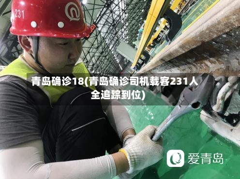 青岛确诊18(青岛确诊司机载客231人全追踪到位)-第2张图片