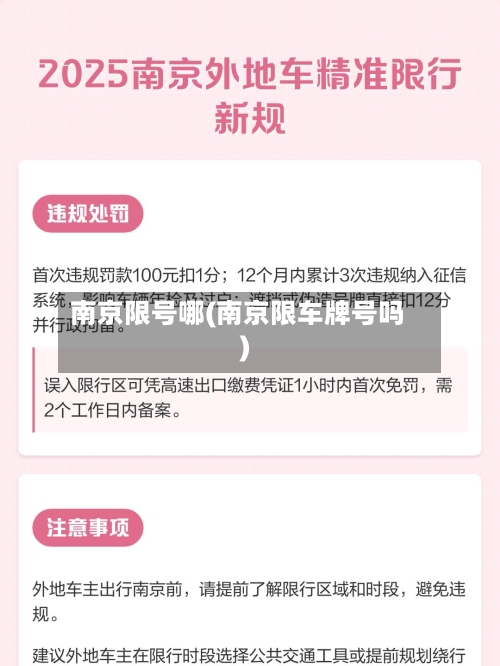 南京限号哪(南京限车牌号吗)-第2张图片
