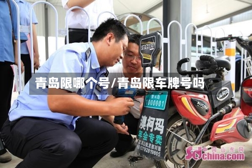 青岛限哪个号/青岛限车牌号吗