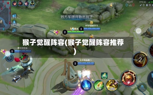 猴子觉醒阵容(猴子觉醒阵容推荐)