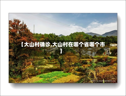 【大山村确诊,大山村在哪个省哪个市】