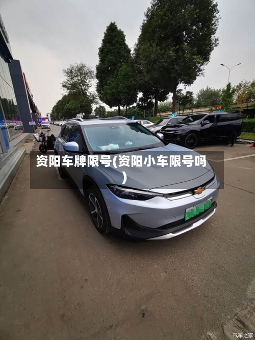 资阳车牌限号(资阳小车限号吗)