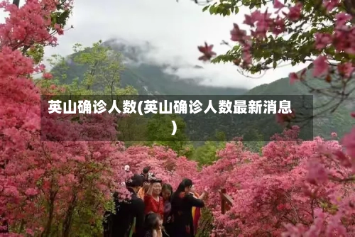 英山确诊人数(英山确诊人数最新消息)