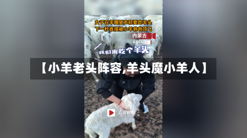 【小羊老头阵容,羊头魔小羊人】