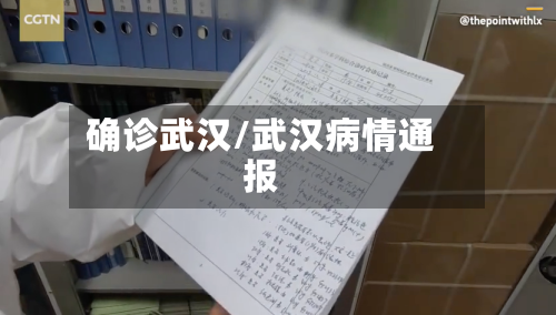确诊武汉/武汉病情通报-第2张图片