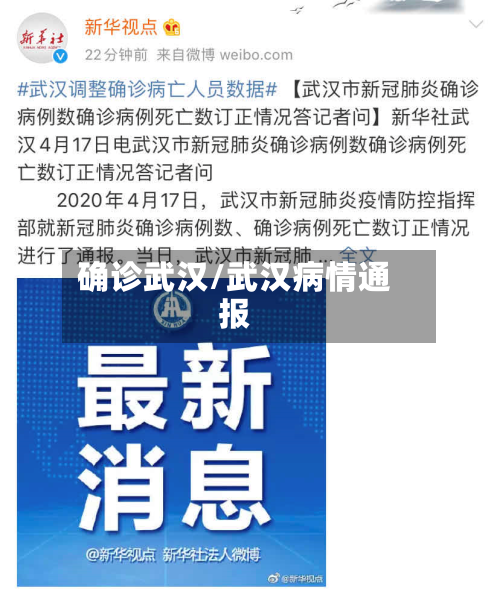 确诊武汉/武汉病情通报-第3张图片