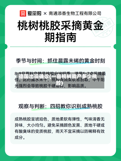 德国出现确诊(一亩桃树能产多少桃胶)