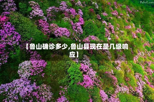 【鲁山确诊多少,鲁山县现在是几级响应】-第2张图片