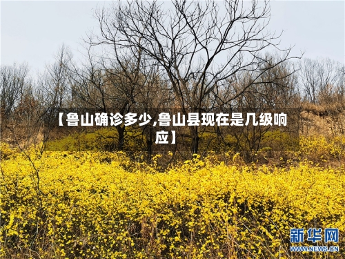 【鲁山确诊多少,鲁山县现在是几级响应】-第3张图片