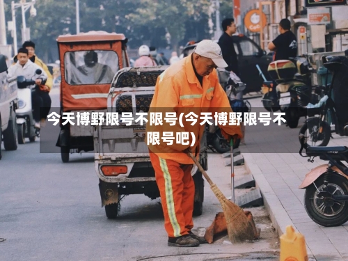 今天博野限号不限号(今天博野限号不限号吧)-第2张图片