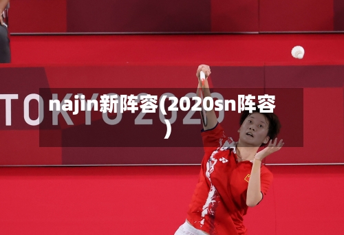 najin新阵容(2020sn阵容)-第2张图片