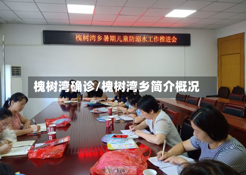 槐树湾确诊/槐树湾乡简介概况