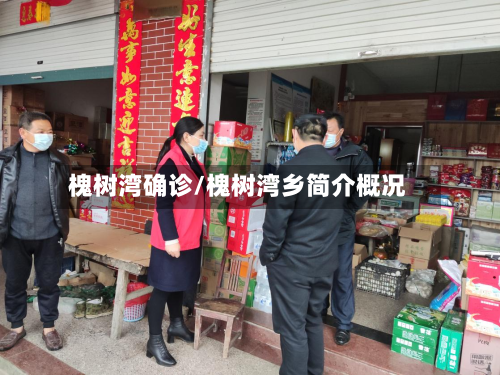 槐树湾确诊/槐树湾乡简介概况-第2张图片