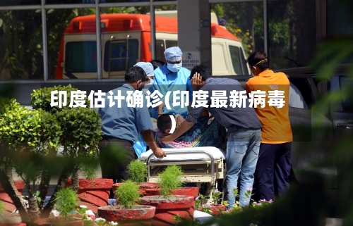 印度估计确诊(印度最新病毒)-第2张图片