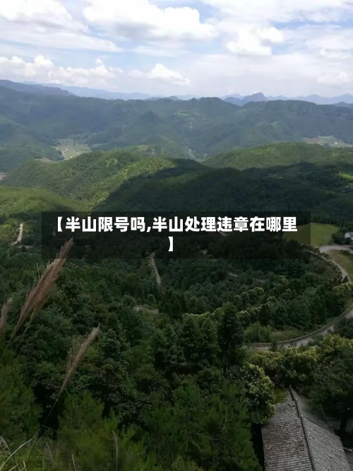 【半山限号吗,半山处理违章在哪里】-第2张图片