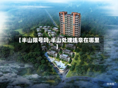 【半山限号吗,半山处理违章在哪里】