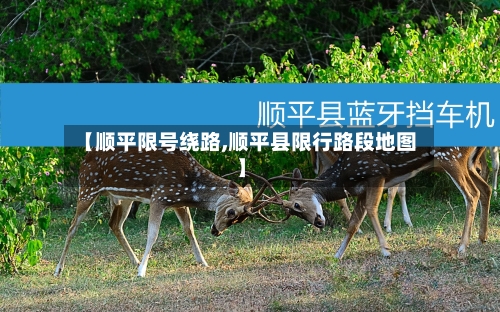 【顺平限号绕路,顺平县限行路段地图】-第2张图片