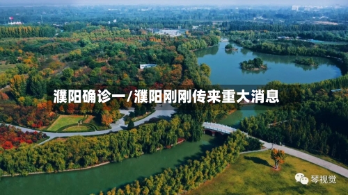濮阳确诊一/濮阳刚刚传来重大消息-第2张图片