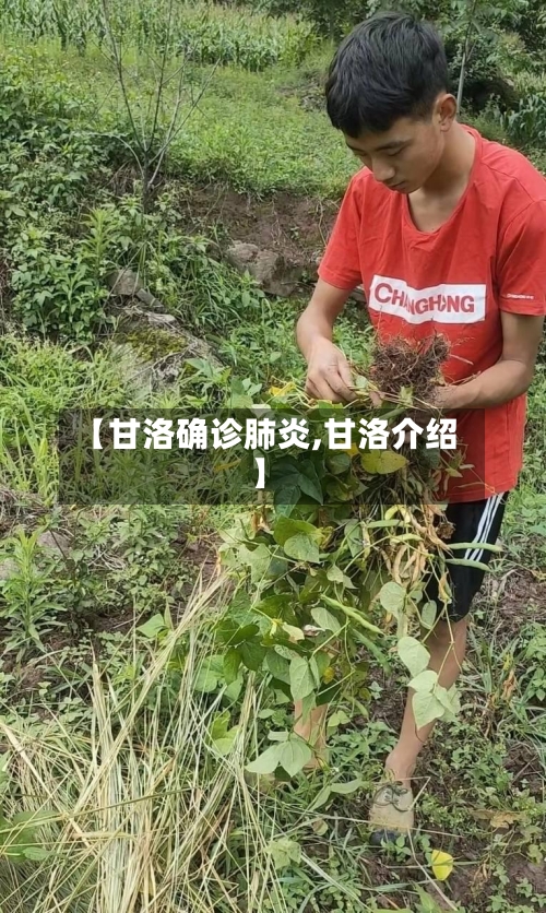【甘洛确诊肺炎,甘洛介绍】-第3张图片