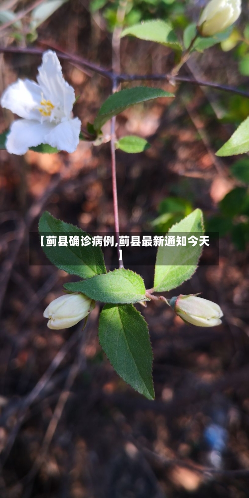 【蓟县确诊病例,蓟县最新通知今天】