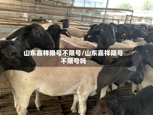 山东嘉祥限号不限号/山东嘉祥限号不限号吗