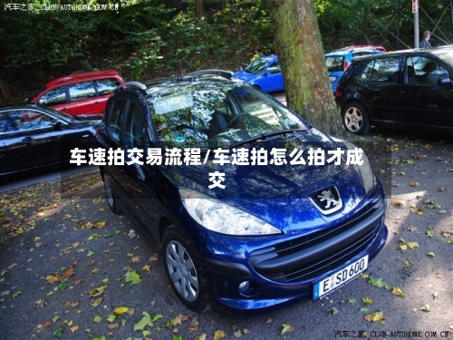 车速拍交易流程/车速拍怎么拍才成交-第2张图片